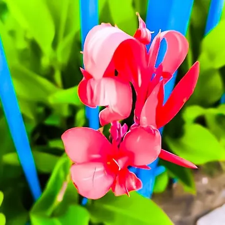 Апартаменти William's - Second Cozy