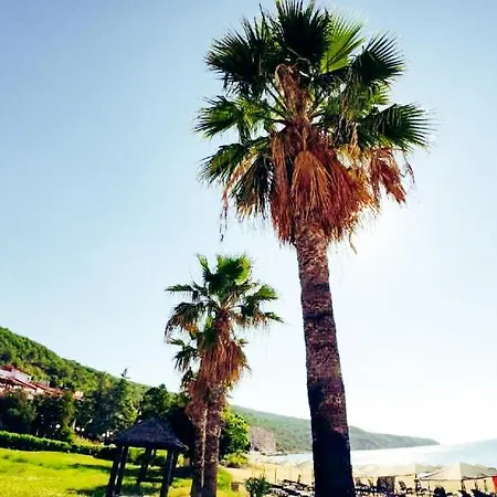 William's - Second Cozy Светий Влас