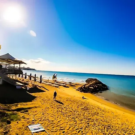 William's - Second Cozy