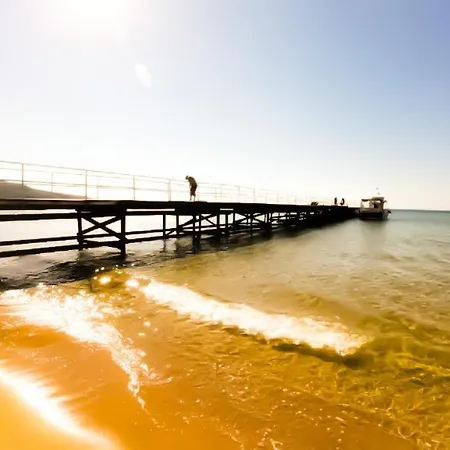 William's - Second Cozy Апартаменти