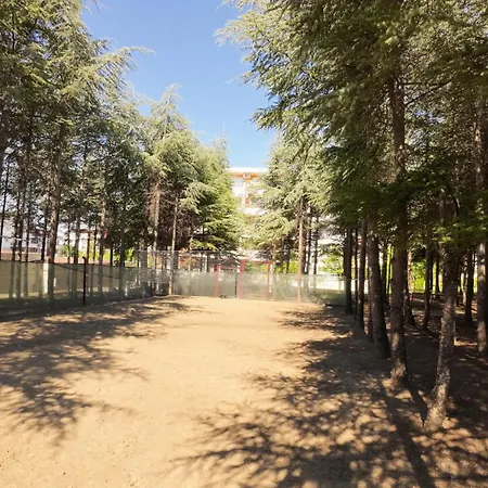 William's - Second Cozy * スヴェティ・ヴラス