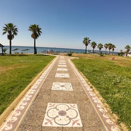 William's - Second Cozy * スヴェティ・ヴラス