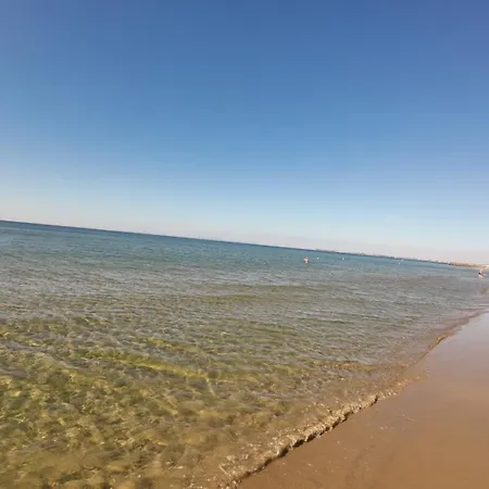 William's - Second Cozy * スヴェティ・ヴラス