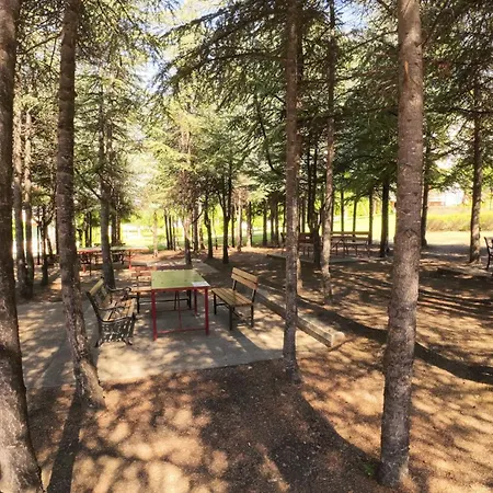 William's - Second Cozy