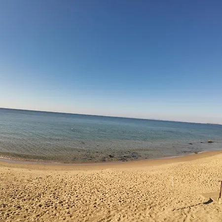 William's - Second Cozy * スヴェティ・ヴラス