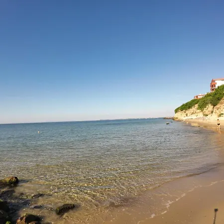 William's - Second Cozy