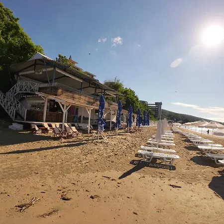 William's - Second Cozy スヴェティ・ヴラス