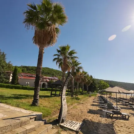 William's - Second Cozy * スヴェティ・ヴラス