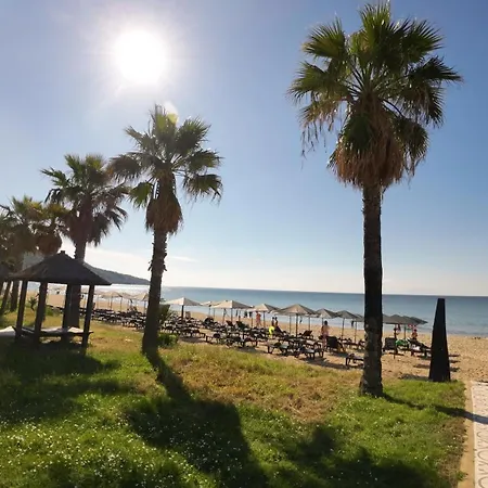 William's - Second Cozy