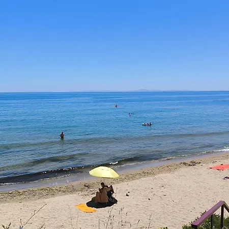 William's - Second Cozy * スヴェティ・ヴラス