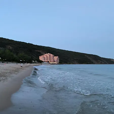 William's - Second Cozy * スヴェティ・ヴラス