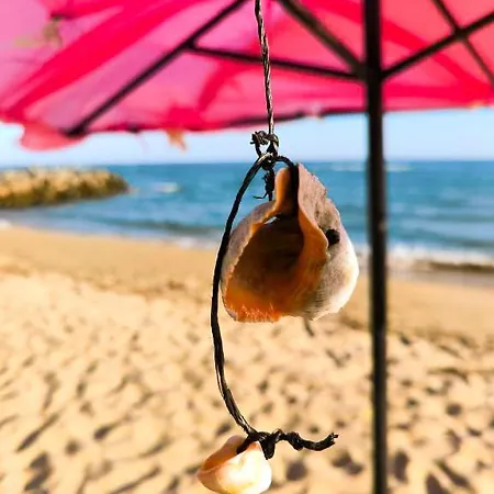 William's - Second Cozy