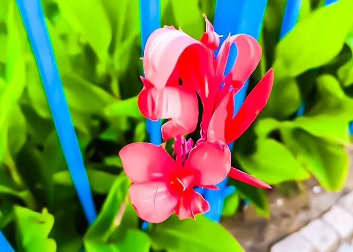 Lejlighed William's - Second Cozy