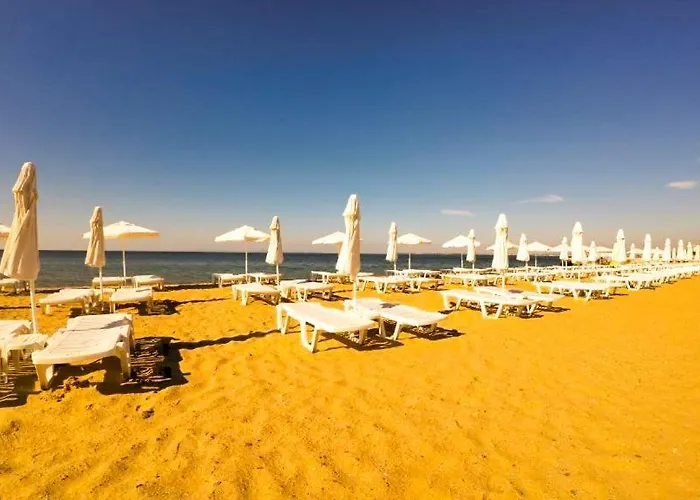 William's - Second Cozy Apartment